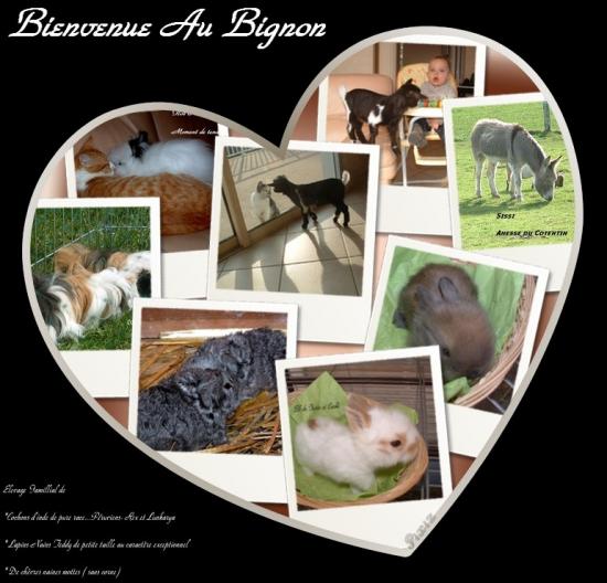 bienvenue-au-bignon.jpg