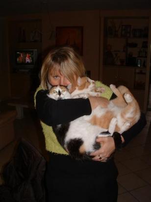 Une Brassée de chat